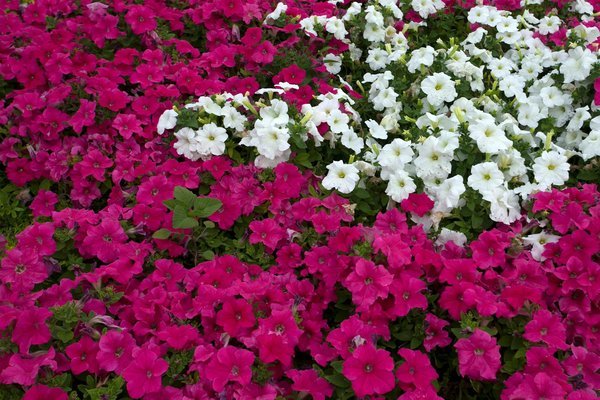 Créer un cocon de confort : choisir la couette 2 personnes idéale pour votre lit double