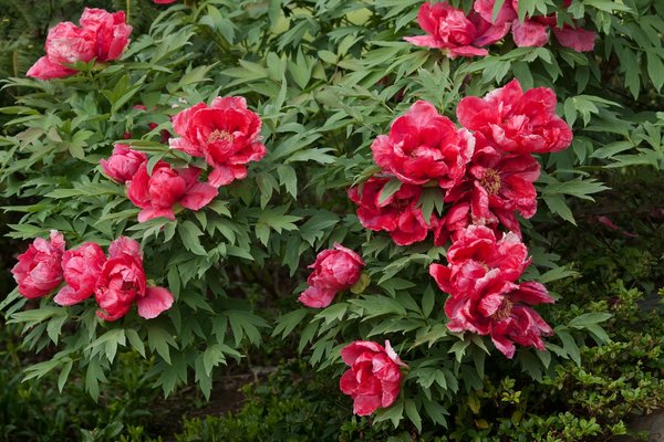 Filtres berkefeld : votre partenaire pour une eau potable sûre